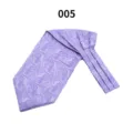 Close-up detail of purple silk-feel mens paisley ascot cravat, elegant wedding business wear. - Color 005