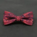 Classic red and navy blue paisley bow tie for men, ideal for weddings and formal events. - Color 005