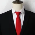 Cravatta formale rossa da uomo vista dettagliata, cravatta strutturata elegante per matrimonio - A001