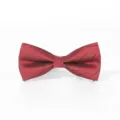 Detailed shot of wine red business bow tie with black stripe pattern, elegant fabric texture. - Color 016