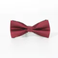 Burgundy striped bow tie for men, classic wedding suit and shirt neckwear accessory detail. - 017