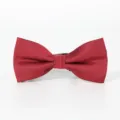 Close up of a classic red twill fabric bow tie for men, elegant formal accessory. - Color 018
