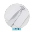 Solid color silver zipper tie product detail view, classic business formal suit wear for men. - Color 019