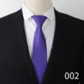 Cravatta da uomo viola con dettaglio a pois bianchi per abito formale da business. - Colore 002