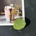 Detailaufnahme der grünen Strass-Mini-Abendtasche mit glänzenden Steinen und Goldkette. - A107 Grün