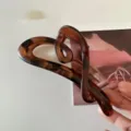 Elegante pinza de pelo con diseño de corazón de carey para mujeres, gran accesorio de moda. - Ámbar Transparente