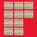 Cute wooden clips colorful animal photo memo hanging clips for classroom decoration - Bear Style / 50 Pcs