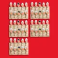 Cute wooden clips with rabbit and carrot design, ideal for photo hanging and memo decoration. - Bunny & Carrot Style / 50 Pcs