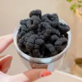 Mini elastici spugna neri per bambini, piccoli elastici morbidi capelli in vasetto trasparente. - Nero