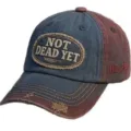 Close-up detail of vintage distressed baseball cap with embroidered patch and contrast stitching. - Adult 56-60cm Adjustable / Color Block