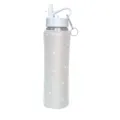 25oz Rhinestone Stainless Steel Sports Water Bottle Vacuum Insulated Cup with Straw Lid - Silver