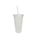 Transparent plastic straw cup 24oz variant for refreshing cold beverages and party drinks. - Clear