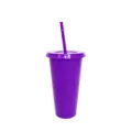 Purple plastic straw tumbler 24oz large capacity cup for outdoor party daily drinking use - Deep purple