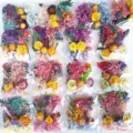Vista dettagliata di fiori secchi colorati confezioni miste di fiori preservati. - Sacchetti di fiori secchi