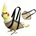 Imbracatura Guinzaglio Uccello Traspirante Rete Vestito Volo per Calopsitte Piccoli Animali - Marrone - Stile traspirante