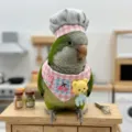 Schattig vogel papegaai hamster kostuum koksmuts en bib set kleine dieren cosplay kleding - Hoed en Lätzjes Set / Roze