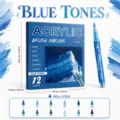 Acrylic brush marker set 12 colors DIY art painting graffiti pen marker portable - 12 Blue Series Colors