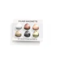 Triangle hijab magnets set, strong magnetic scarf pins, non-snag clothing accessories. - Glossy & Matte 6-Piece Set