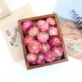 Primo piano di teste di fiori di paglia rosa in una scatola di legno per lavori fai da te. - Confezione da 500g / Rosa Selezionato