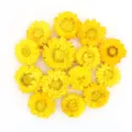 Teste di fiori di paglia secchi naturali margherite gialle per decorazione artigianato - Confezione da 500g / Giallo Selezionato