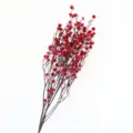 Primo piano dettagliato di rami di fiori secchi rossi per decorazioni e composizioni. - Rosso rosa