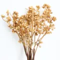 Gold berry branches floral filler for DIY home decor and Christmas wreath arrangements. - Zombie Fruit Approx. 200g
