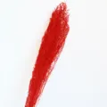 Dettaglio di fiore di artemisia essiccato rosso, ideale per composizioni floreali e oggetti di scena. - Rosso