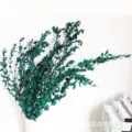 Rametti di eucalipto preservati foglie fini fiori secchi per decorazioni d'interni nordici - Blu