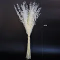 White preserved dried flowers eucalyptus branches DIY floral arrangement 60cm length - White