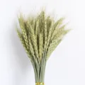 Dried wheat bouquet detail view, perfect for home decor, rustic style natural dried floral arrangement. - Original Color
