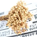 Rami di bouquet di bacche secche dorate per decorazioni natalizie e composizioni floreali. - Piccolo Frutto Bianco 100g