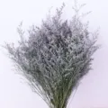 Dried statice flower bouquet for home decor and photography props, natural purple dried floral. - About 300g Per Bundle
