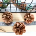 Natural pine cones for DIY crafts, Christmas tree decorations, and photography props. - 1 Piece, 3-5 cm