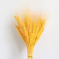 Natural dried wheat ears bouquet for home decoration and opening celebration decor. - Gold Yellow