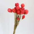 Fiori di amaranto globo essiccati naturali bouquet di fiori rosa per decorazione artigianato - Rosa