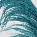 Close-up detail of fluffy teal dyed dried pampas grass, perfect for Nordic home decor. - Blue