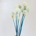 Preserved scabious flowers white with blue stems for home decor and DIY gift box floral. - 10 Stems/Bunch / White