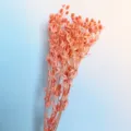 Pink dried sea holly flowers bouquet, preserved floral stems for home decor and gifts. - Deep Pink