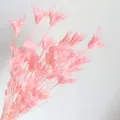 Detailed close-up of pink dried star flowers, artistic botanical decor prop, natural style. - Light Pink