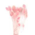 Bouquet di fiori essiccati rosa steli botanici naturali per decorazione d'interni e artigianato - Rosa