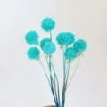 Detail view of dried preserved cyan scabiosa flowers for home decor and DIY gift box crafts. - 10 Stems/Bunch / Tiffany Blue