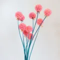 Preserved scabiosa flowers pink heads blue stems dried floral bouquets for home decor gift box. - 10 Stems/Bunch / Deep Pink