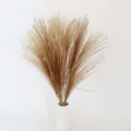 Detailed close-up view of natural dried pampas grass reeds in a white ceramic vase decor. - Original Color