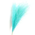 Blue dried pampas grass fluffy reed flower detail shot for home decor wedding floral arrangement - Tiffany Blue