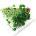 Primo piano di fiori secchi di scabiosa verde, ideale per dettagli di decorazione floreale. - Verde erba