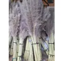 Grande mazzo di fiori secchi di canna di pampa grigia dettagli, decorazioni naturali. - Pelliccia Grigia
