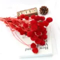 Fiori secchi preservati rossi palline per decorazioni domestiche e composizioni floreali. - Rosso scuro
