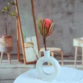 Vista di dettaglio del vaso in ceramica bianca tonda con fiore secco naturale per arredamento. - Rosa