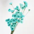 Blue dried star flowers bouquet for home decor DIY craft floral arrangement perfume decor. - Light Blue