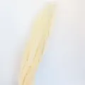 Dried flower botanical decor plant material for floral arrangement and photography props. - White